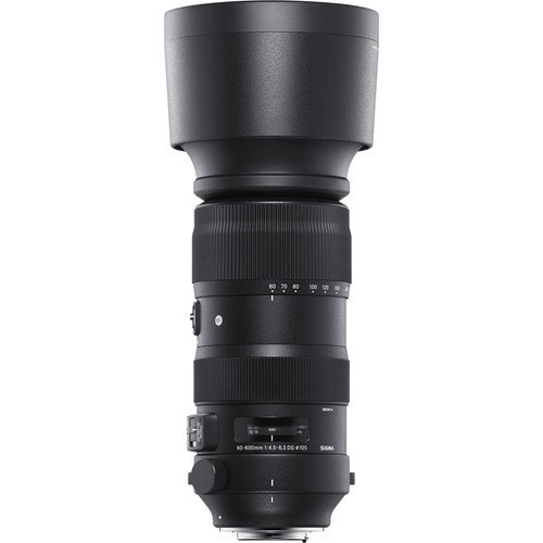 Sigma 60-600mm f/4.5-6.3 DG OS HSM Sports Lens
