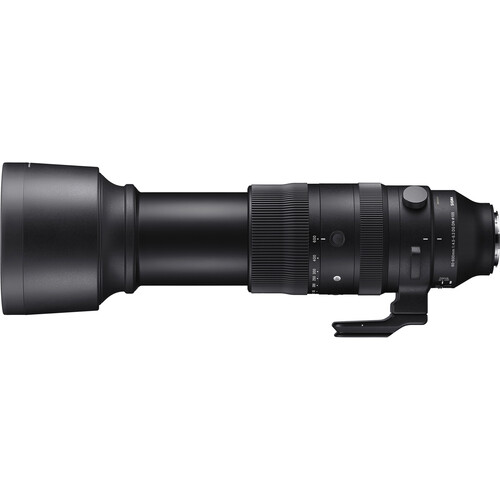 Sigma 60-600mm f/4.5-6.3 DG DN OS Sports Lens