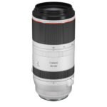 Canon RF 100-500mm f/4.5-7.1 L IS USM Lens